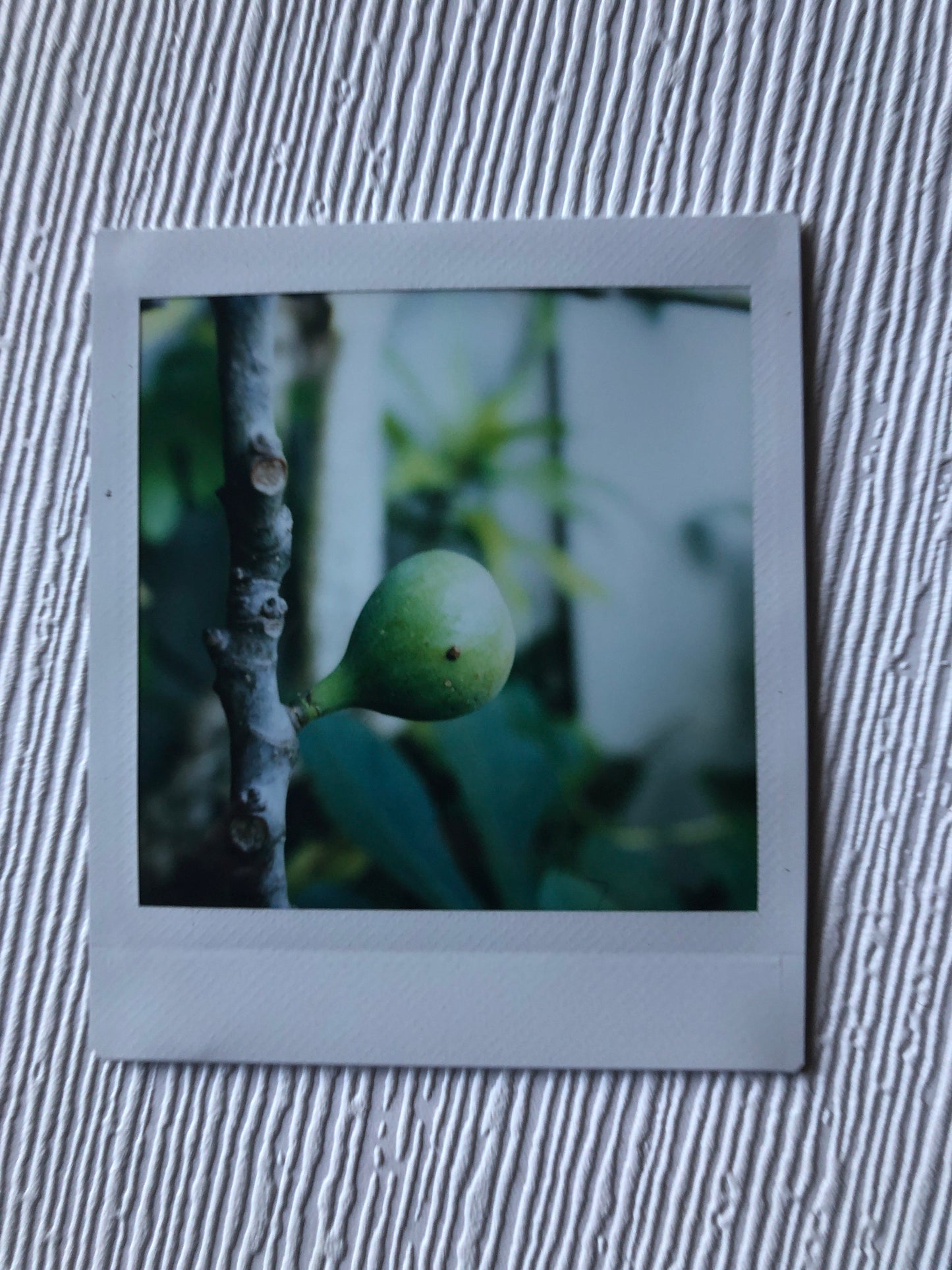 JingStax RB - ฝาหลัง Instax Square แบบมอเตอร์สำหรับ Mamiya RB67
